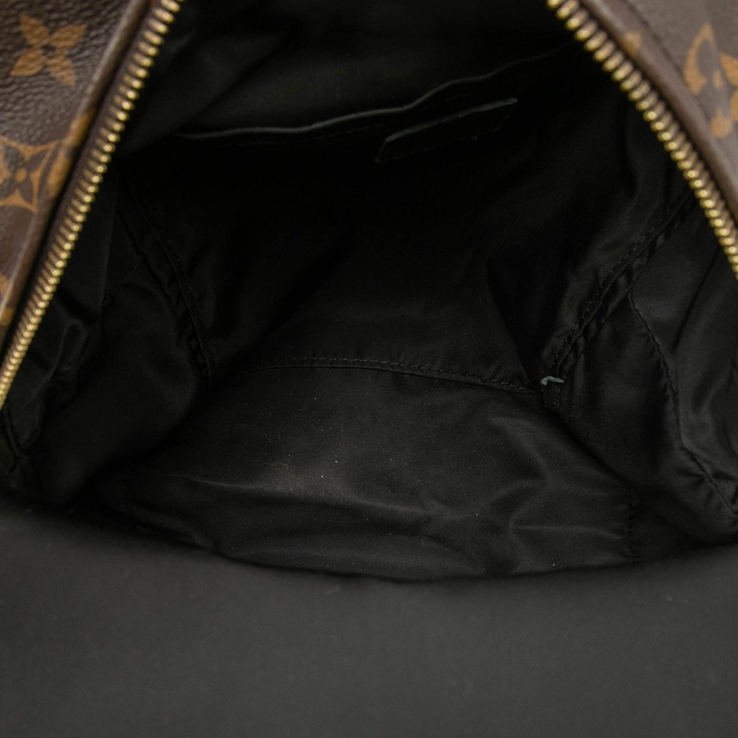 Louis Vuitton Monogram Palm Springs PM