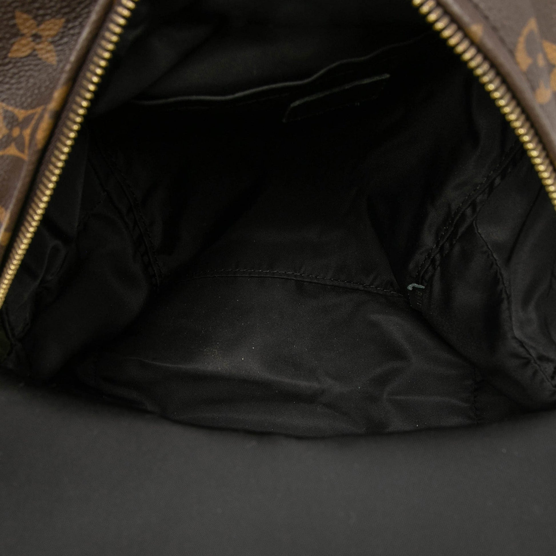Louis Vuitton Monogram Palm Springs PM