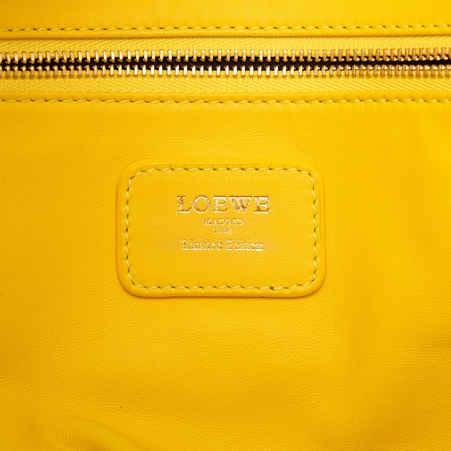 LOEWE Tricolor Leather Amazona 36