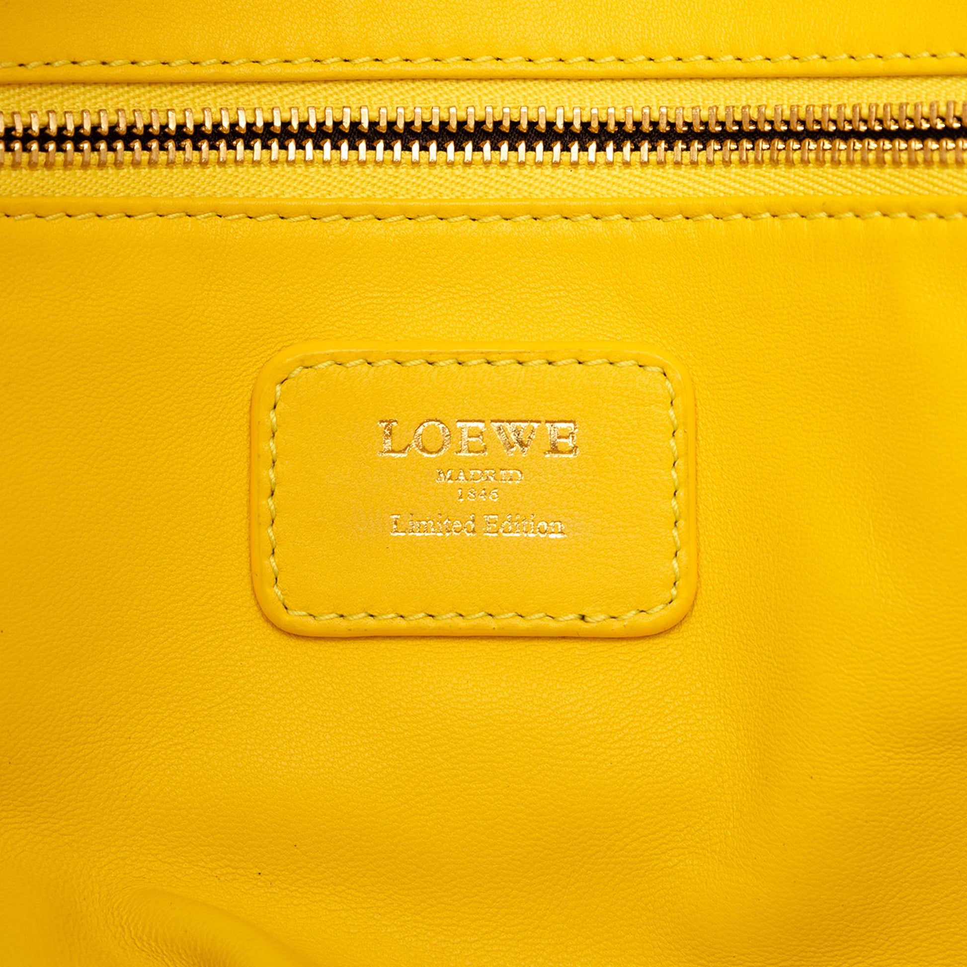 LOEWE Tricolor Leather Amazona 36