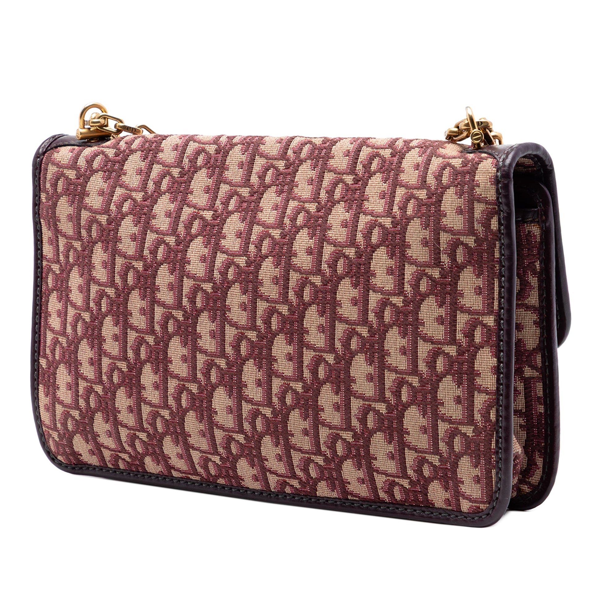 Dior Oblique Canvas Chain Crossbody