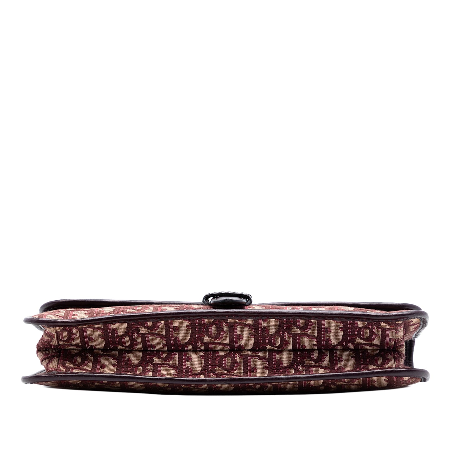 Dior Oblique Canvas Chain Crossbody