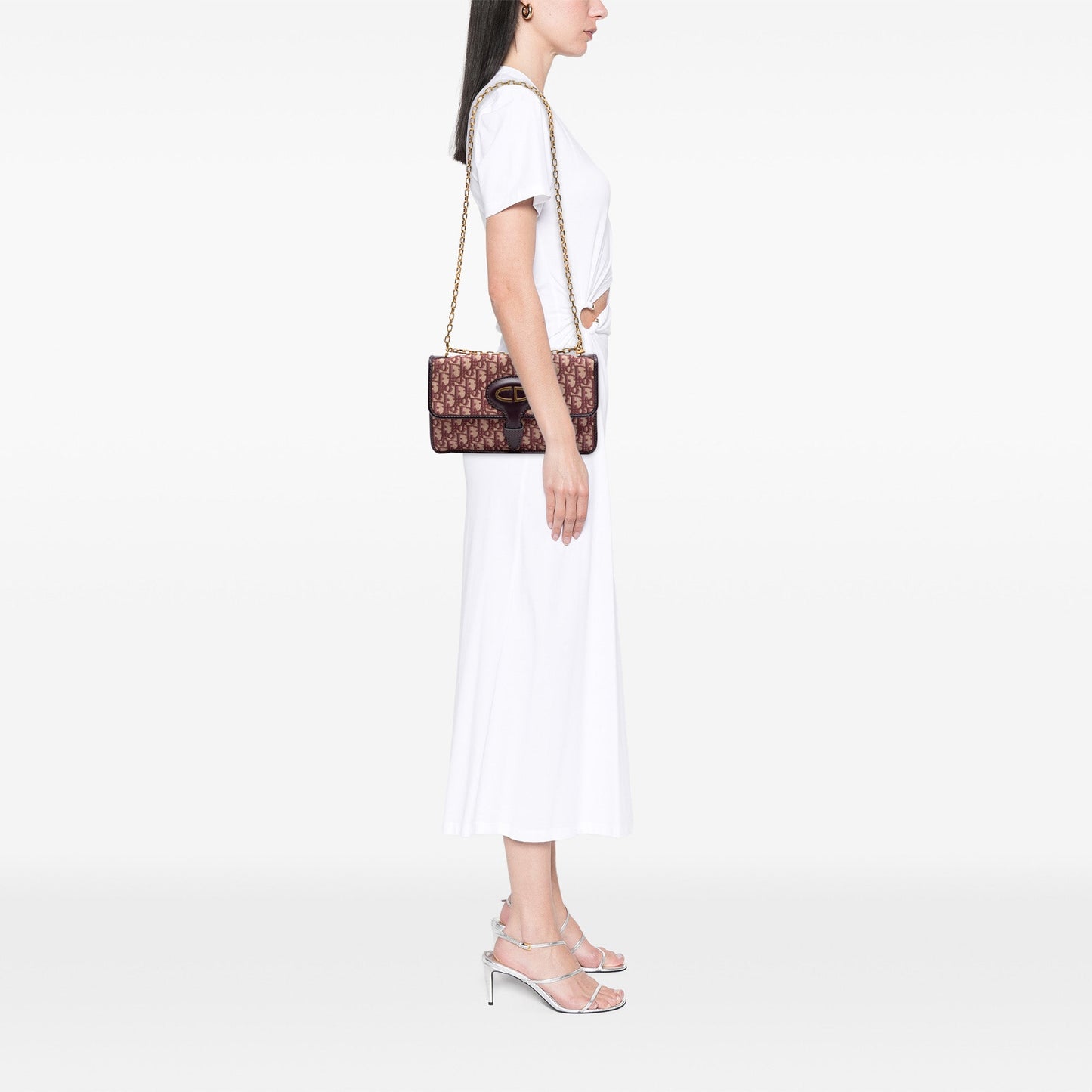 Dior Oblique Canvas Chain Crossbody