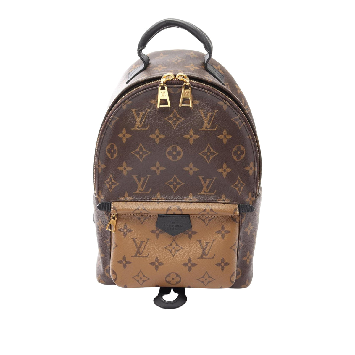 Louis Vuitton Monogram Reverse Palm Springs PM