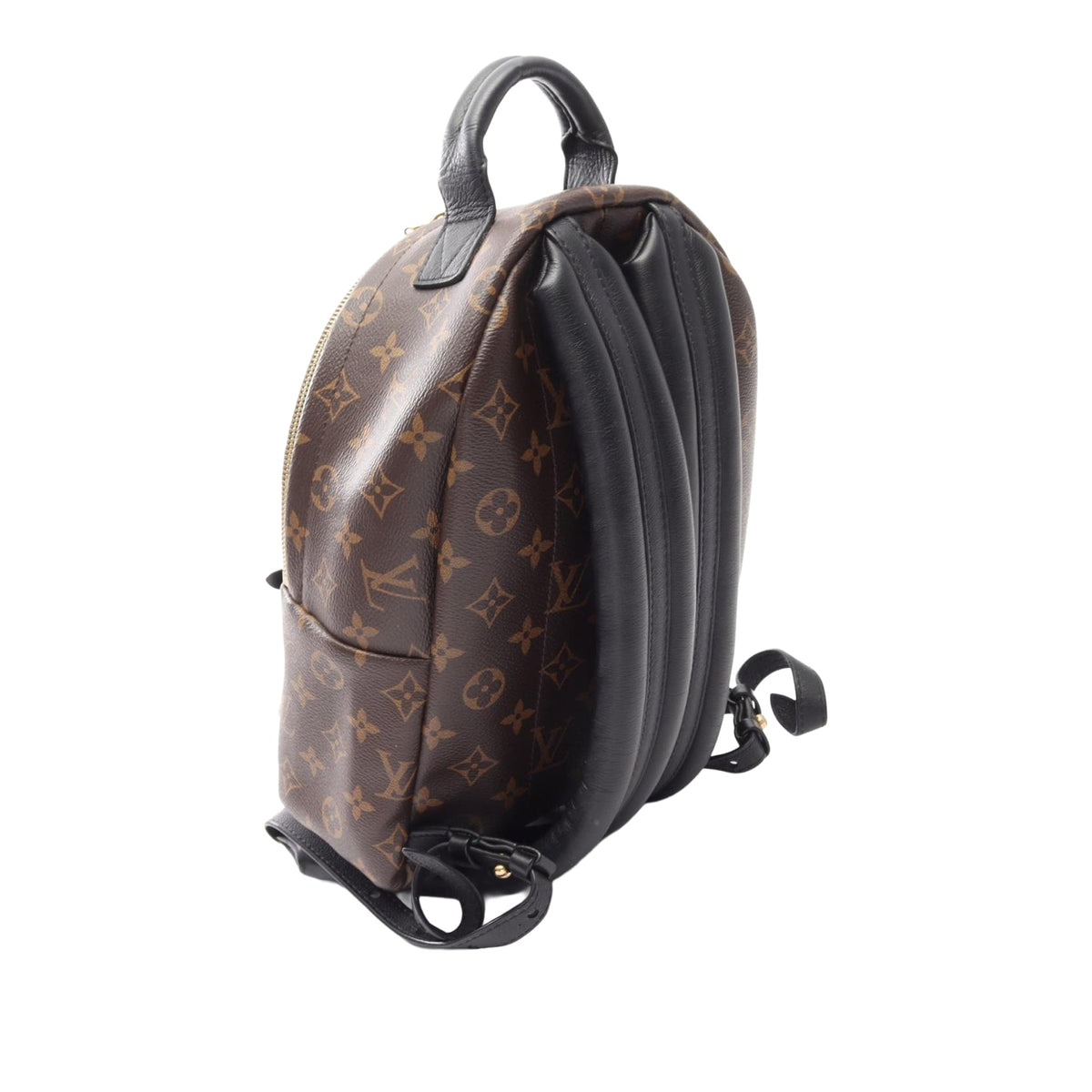 Louis Vuitton Monogram Reverse Palm Springs PM