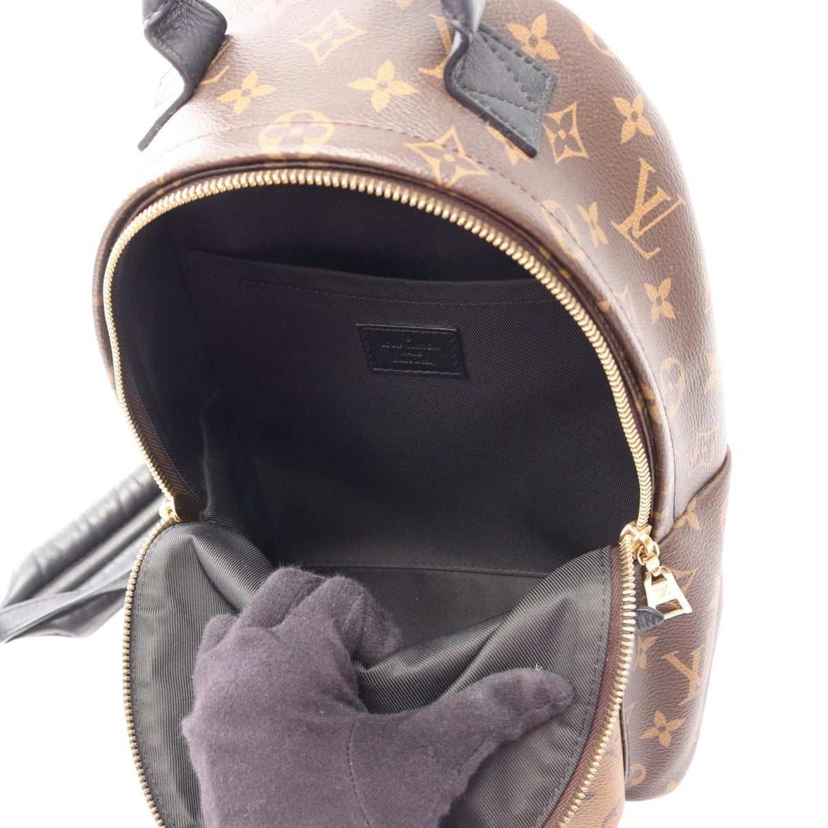 Louis Vuitton Monogram Reverse Palm Springs PM