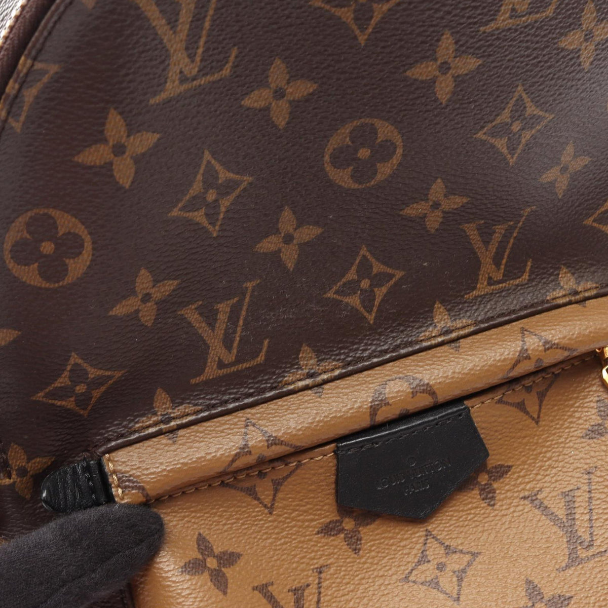 Louis Vuitton Monogram Reverse Palm Springs PM