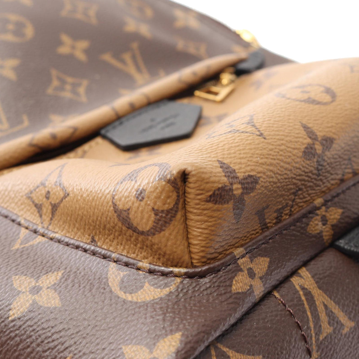 Louis Vuitton Monogram Reverse Palm Springs PM