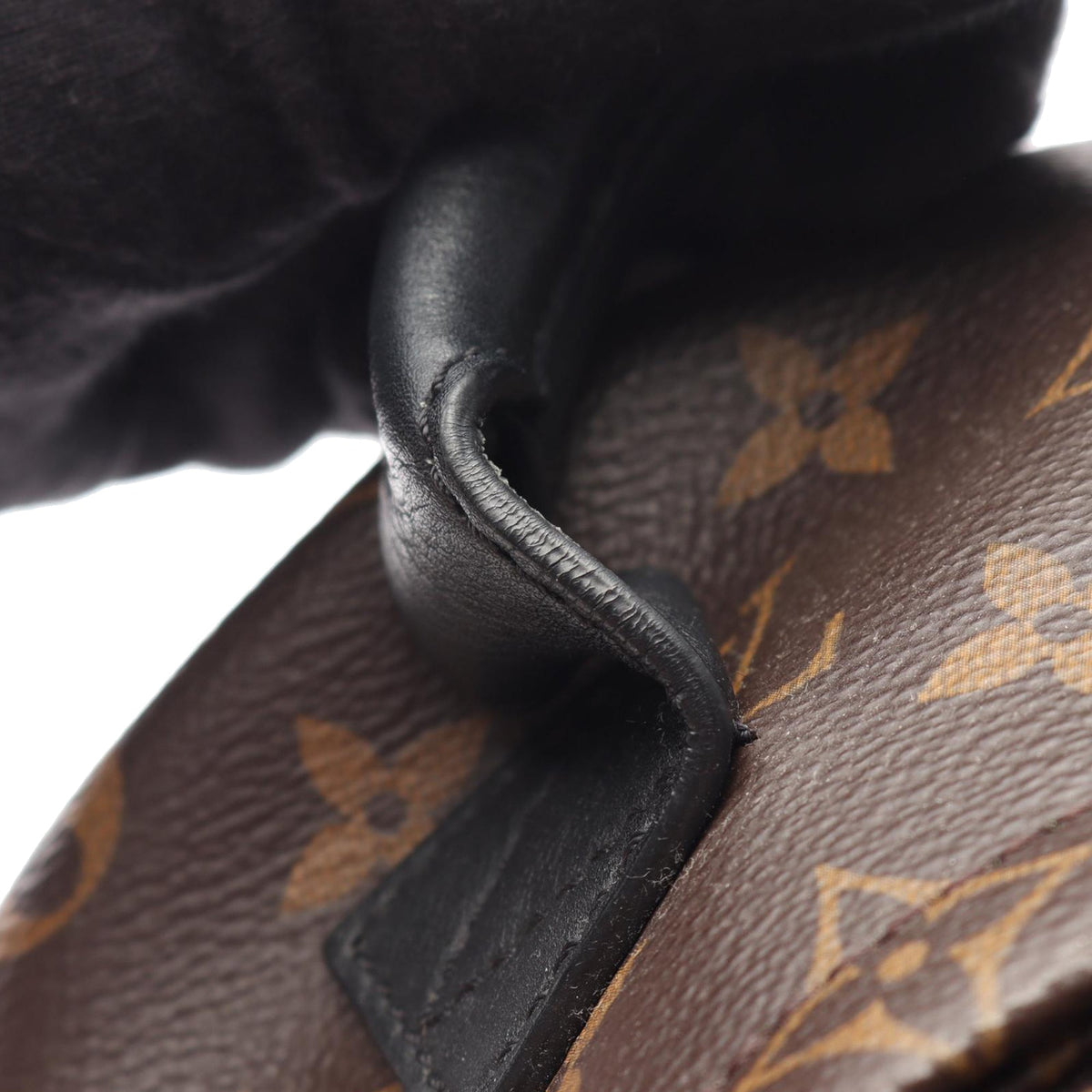 Louis Vuitton Monogram Reverse Palm Springs PM