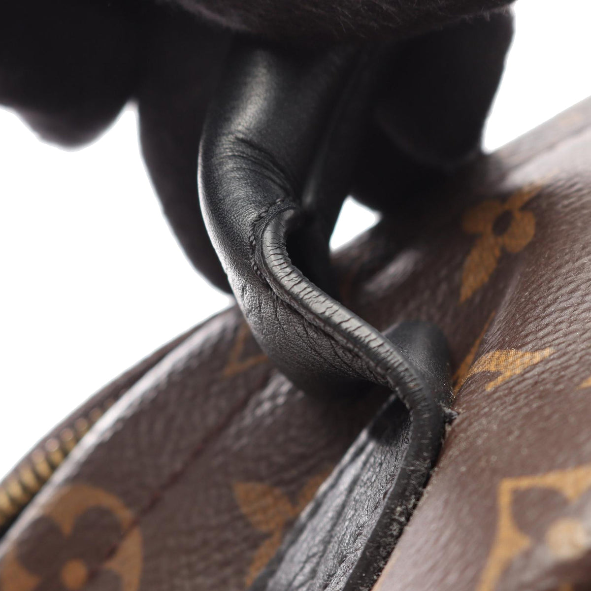 Louis Vuitton Monogram Reverse Palm Springs PM