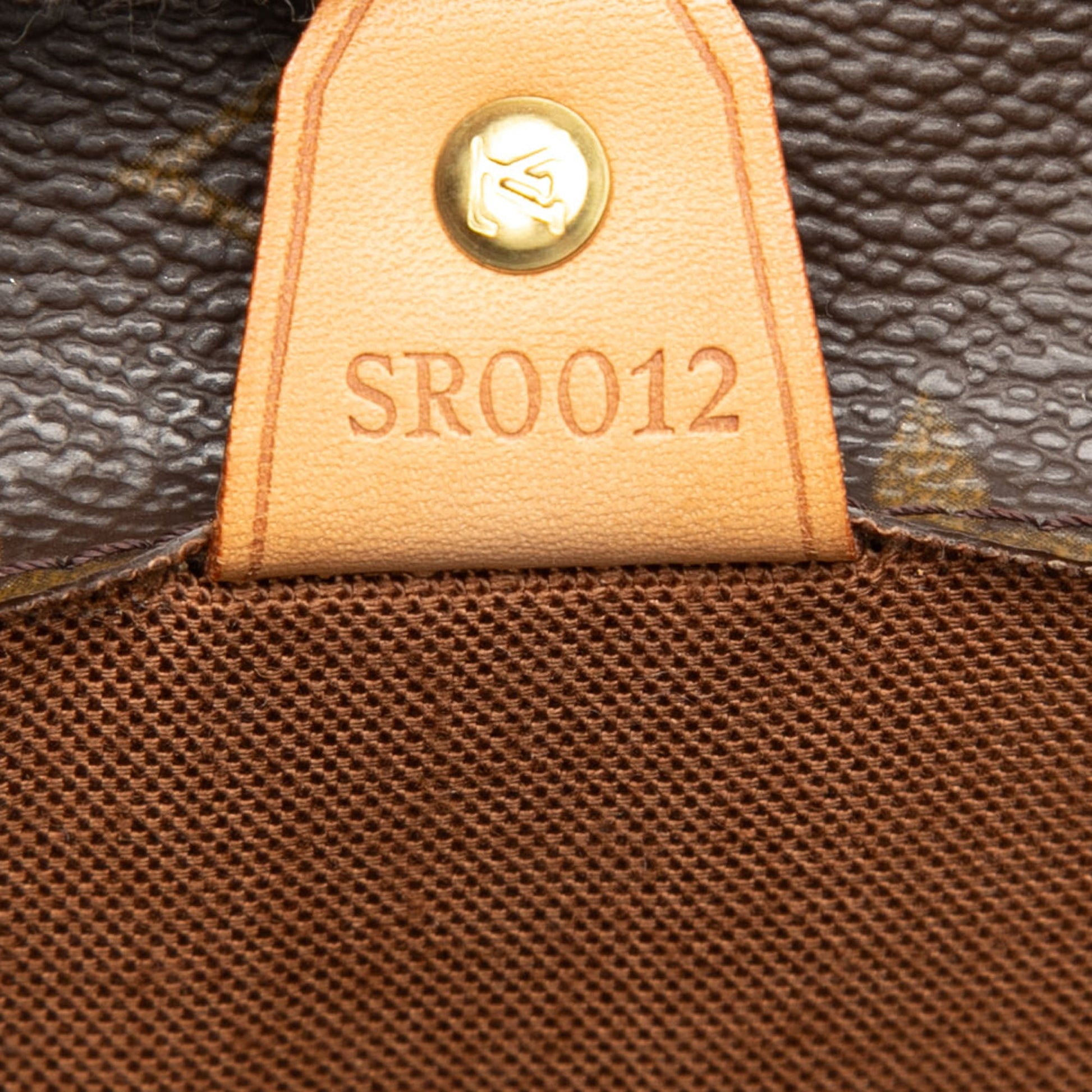 Louis Vuitton Monogram Vavin GM