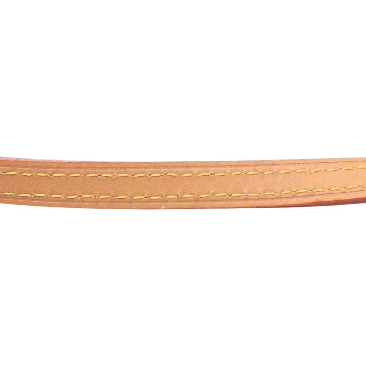Louis Vuitton Monogram Noe Purse