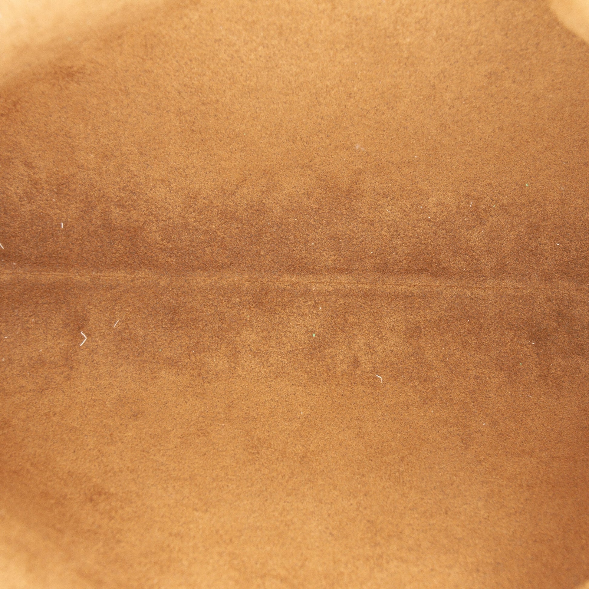 Monogram Flight Mode Side Trunk MM