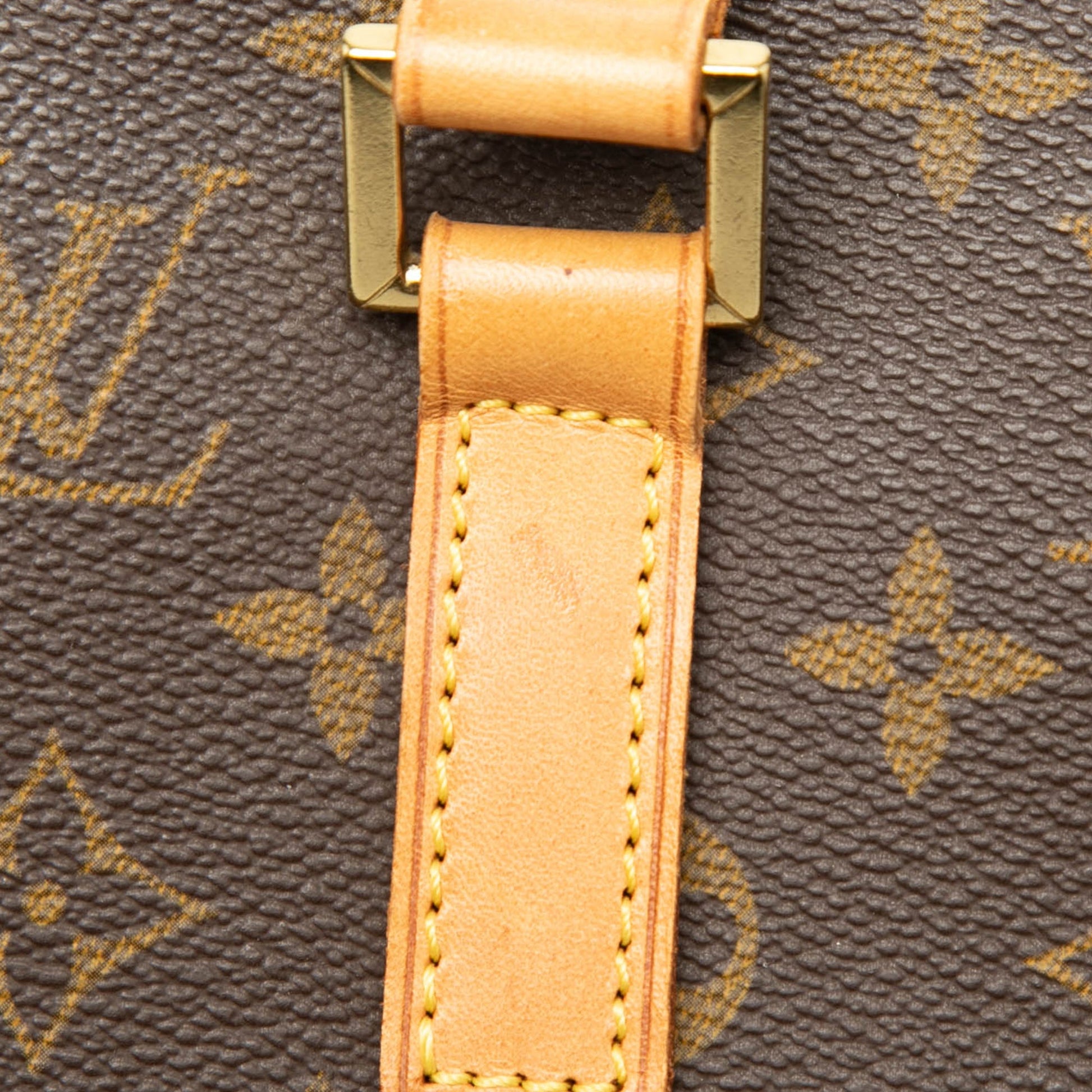 Louis Vuitton Monogram Luco