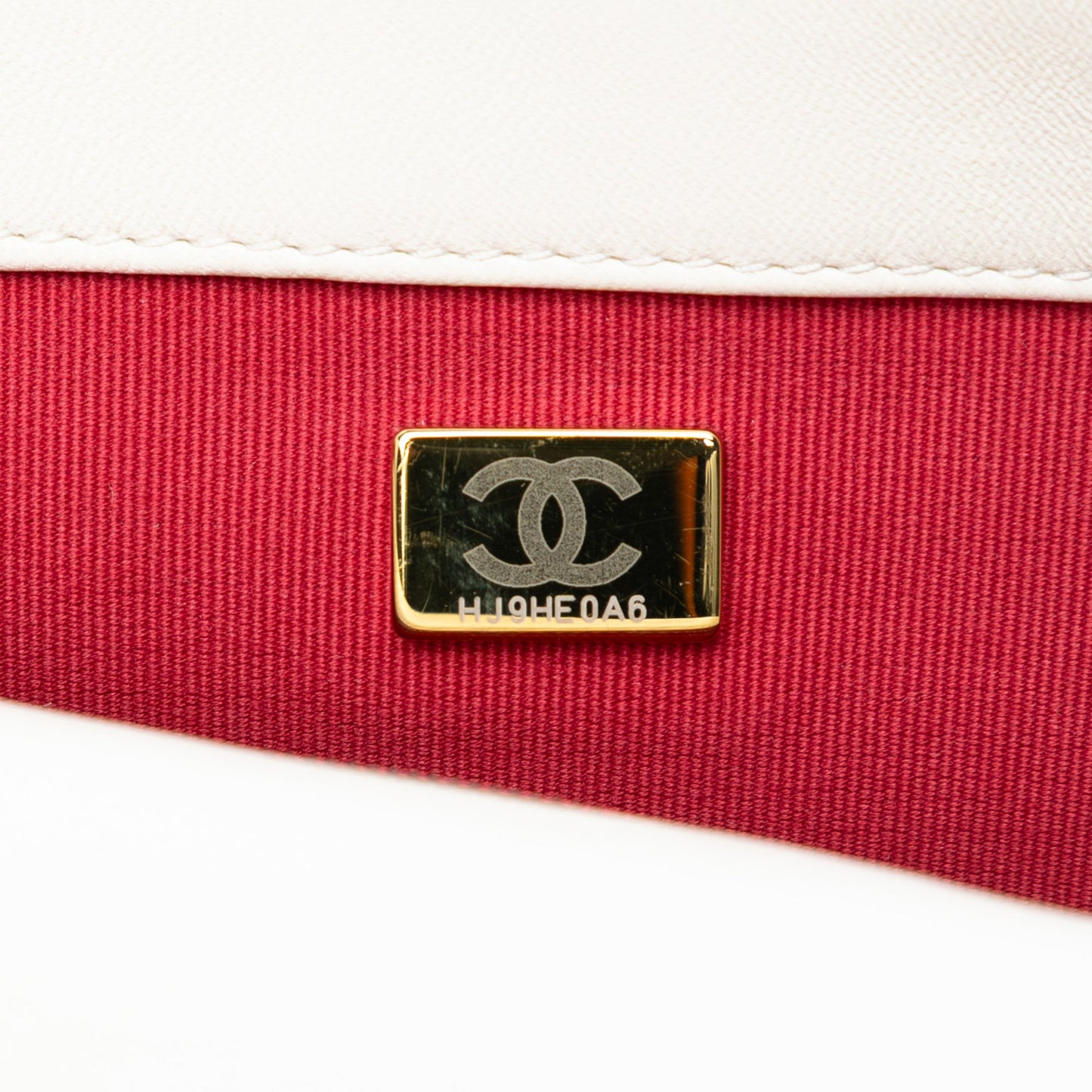 Chanel Medium Lambskin 19 Flap