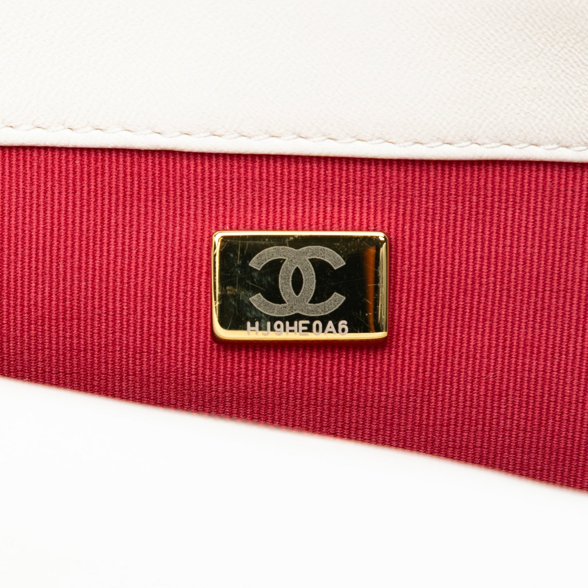 Chanel Medium Lambskin 19 Flap