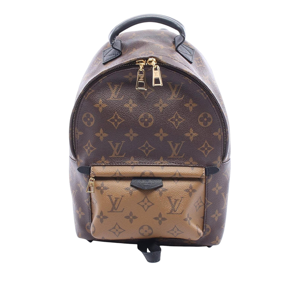 Louis Vuitton Monogram Reverse Palm Springs PM