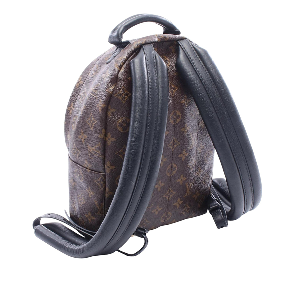 Louis Vuitton Monogram Reverse Palm Springs PM