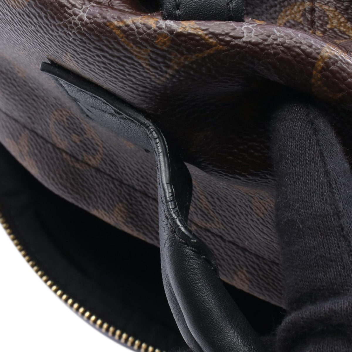 Louis Vuitton Monogram Reverse Palm Springs PM