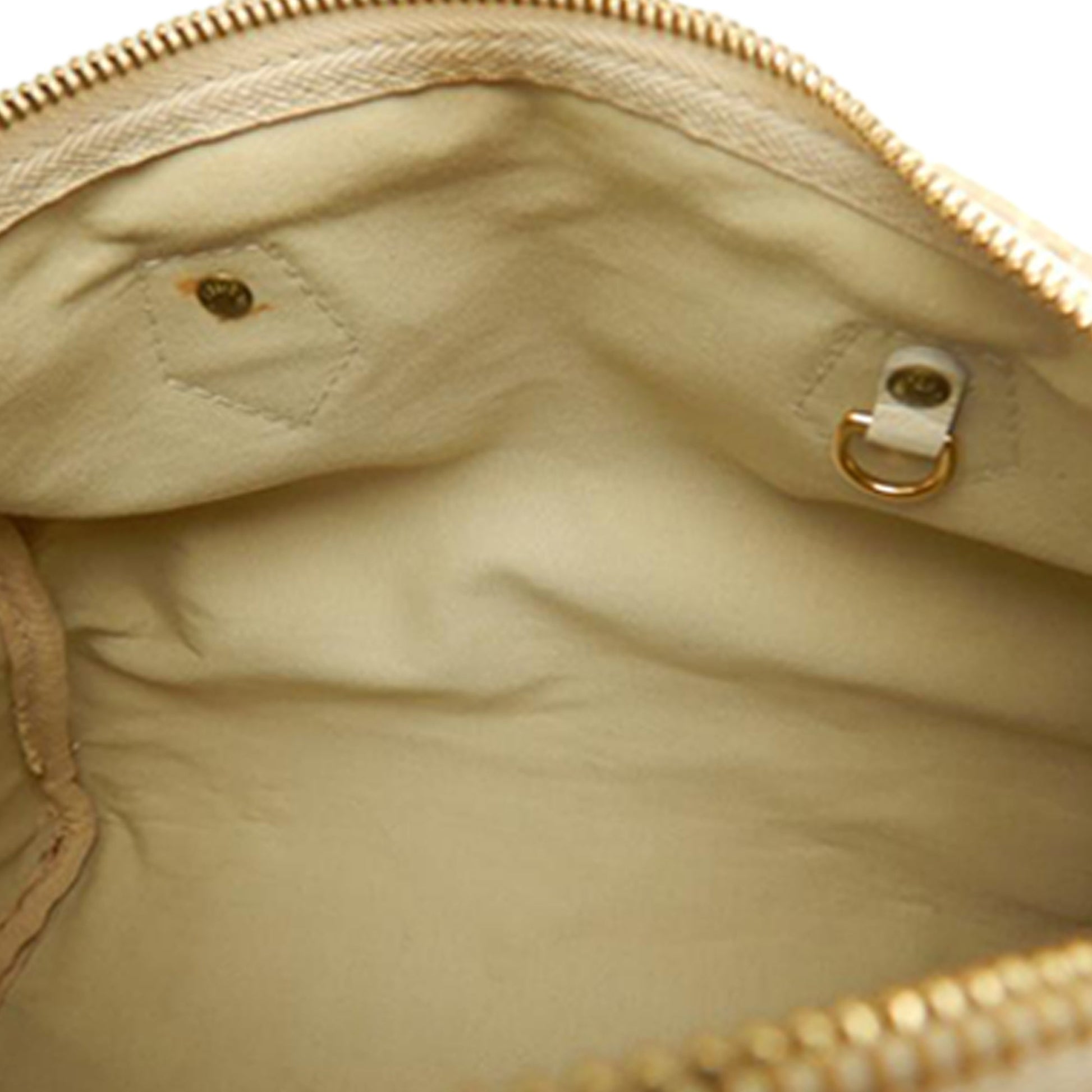 Louis Vuitton Monogram Mini Lin Speedy 30