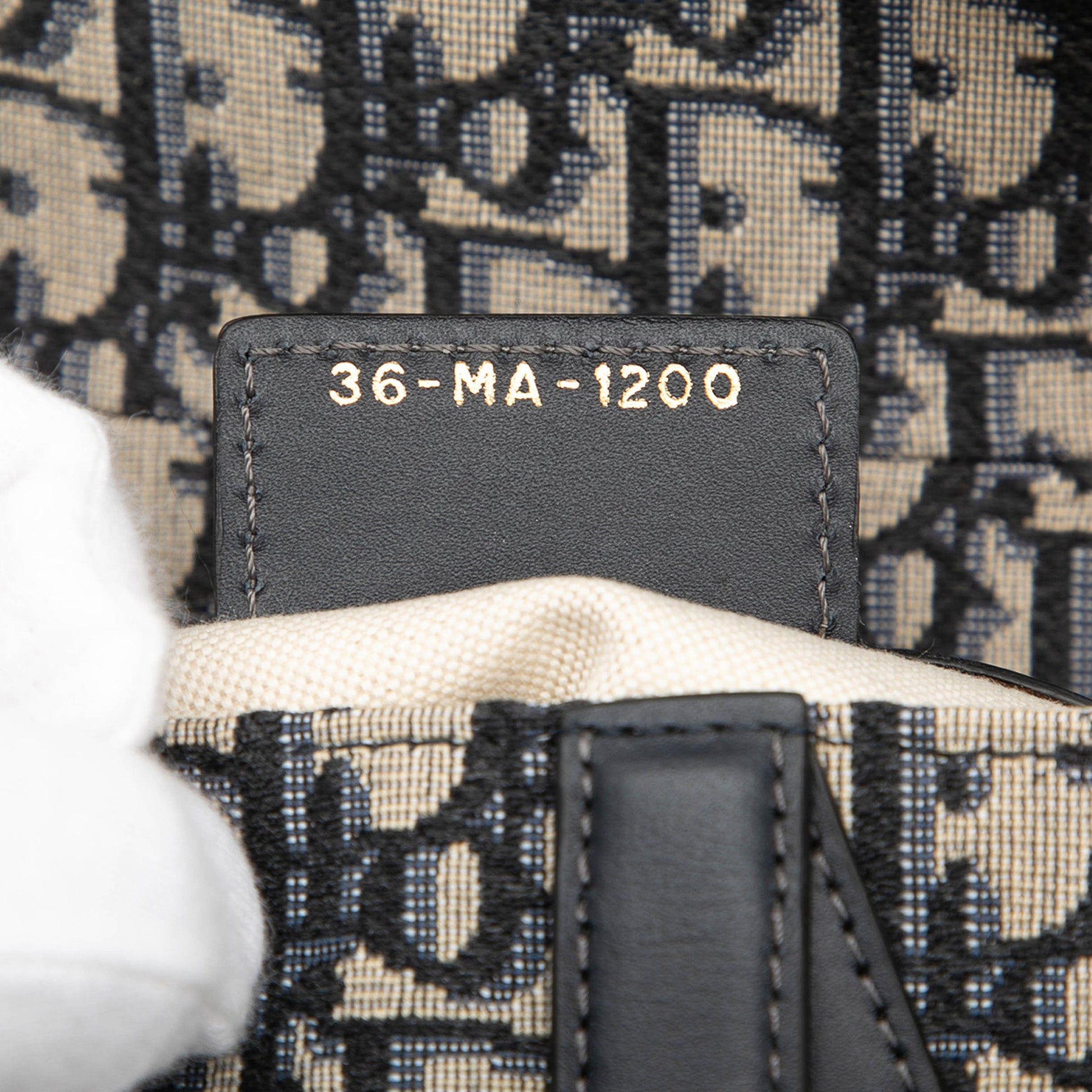Dior Oblique Canvas Saddle Bag