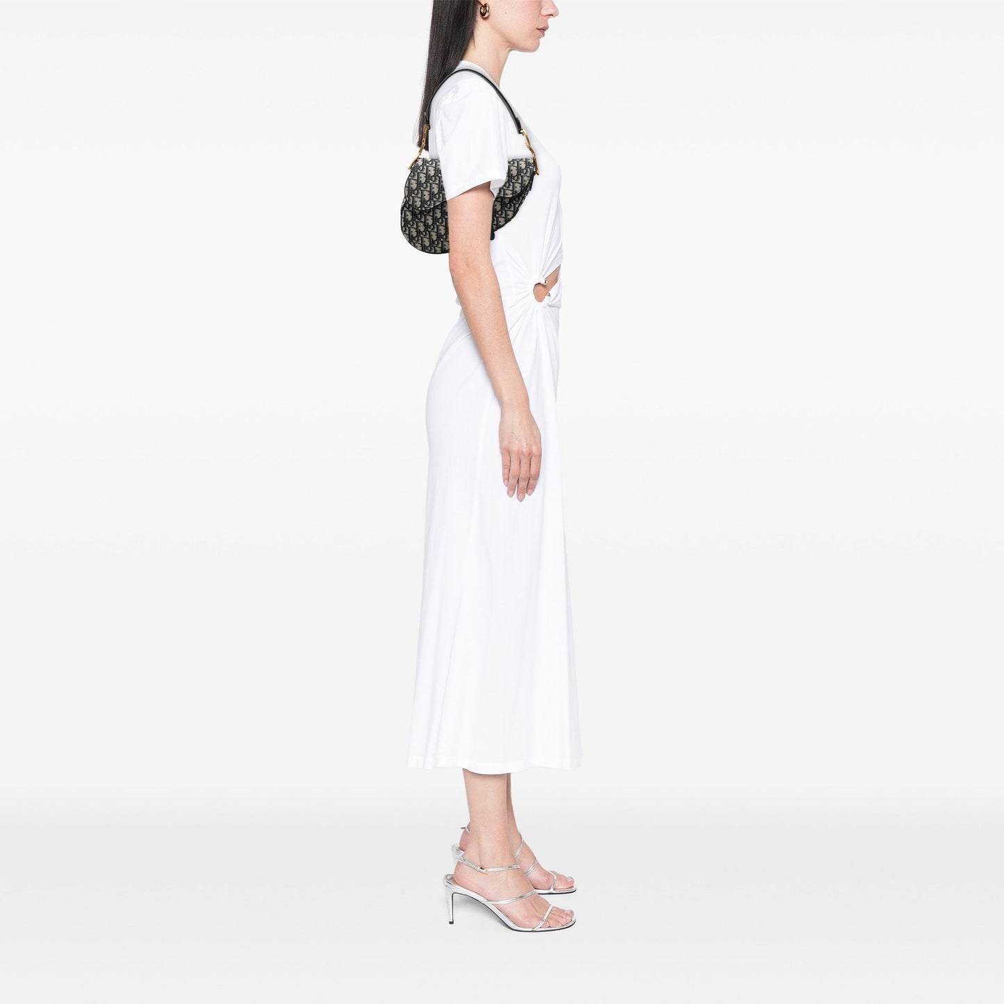 Dior Oblique Canvas Saddle Bag