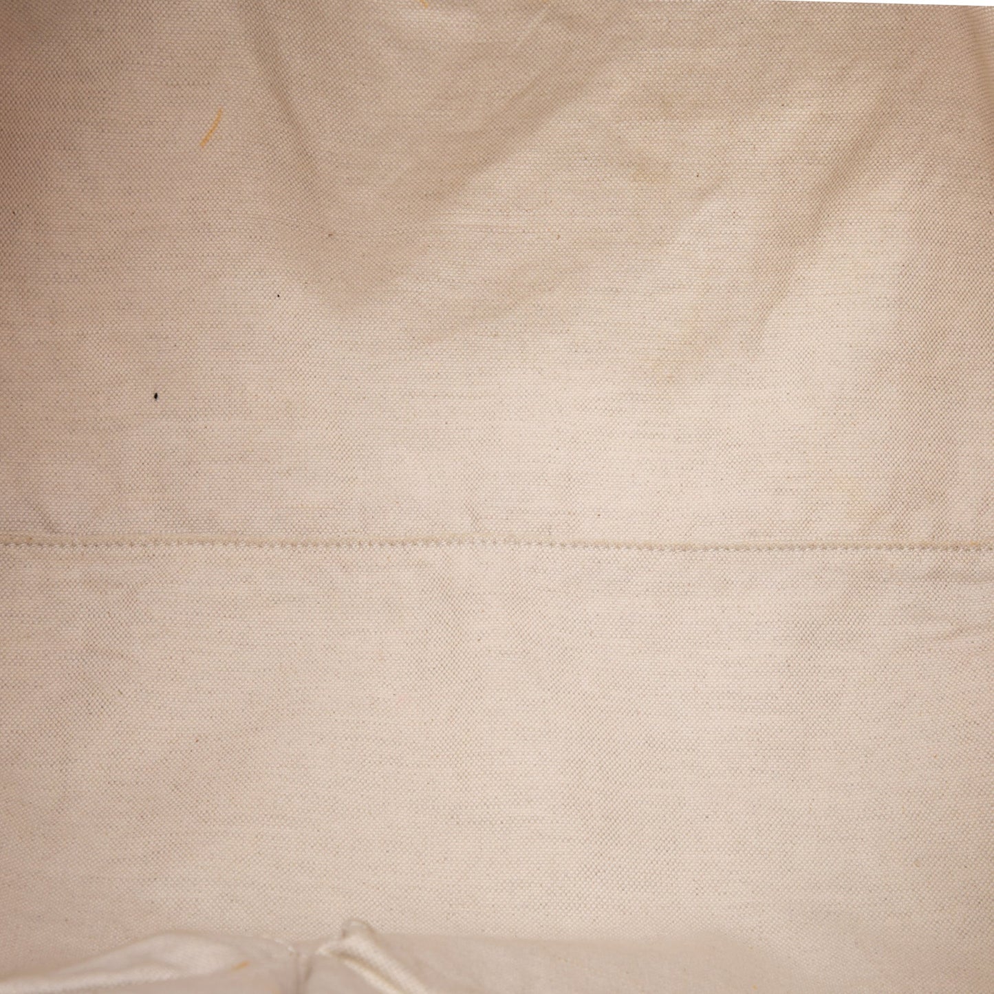Gucci GG Canvas Travel Bag