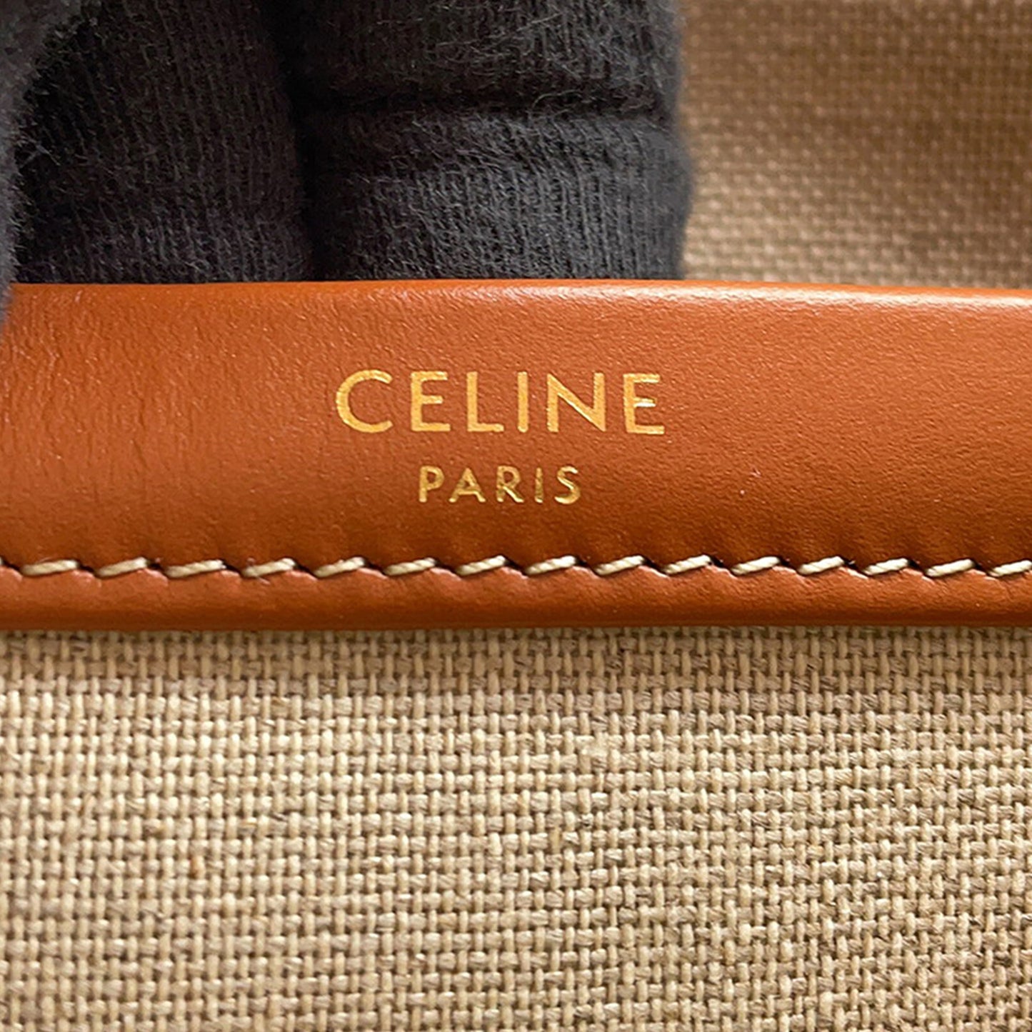 Celine Small Printed Canvas Triomphe Cabas Thais Tote
