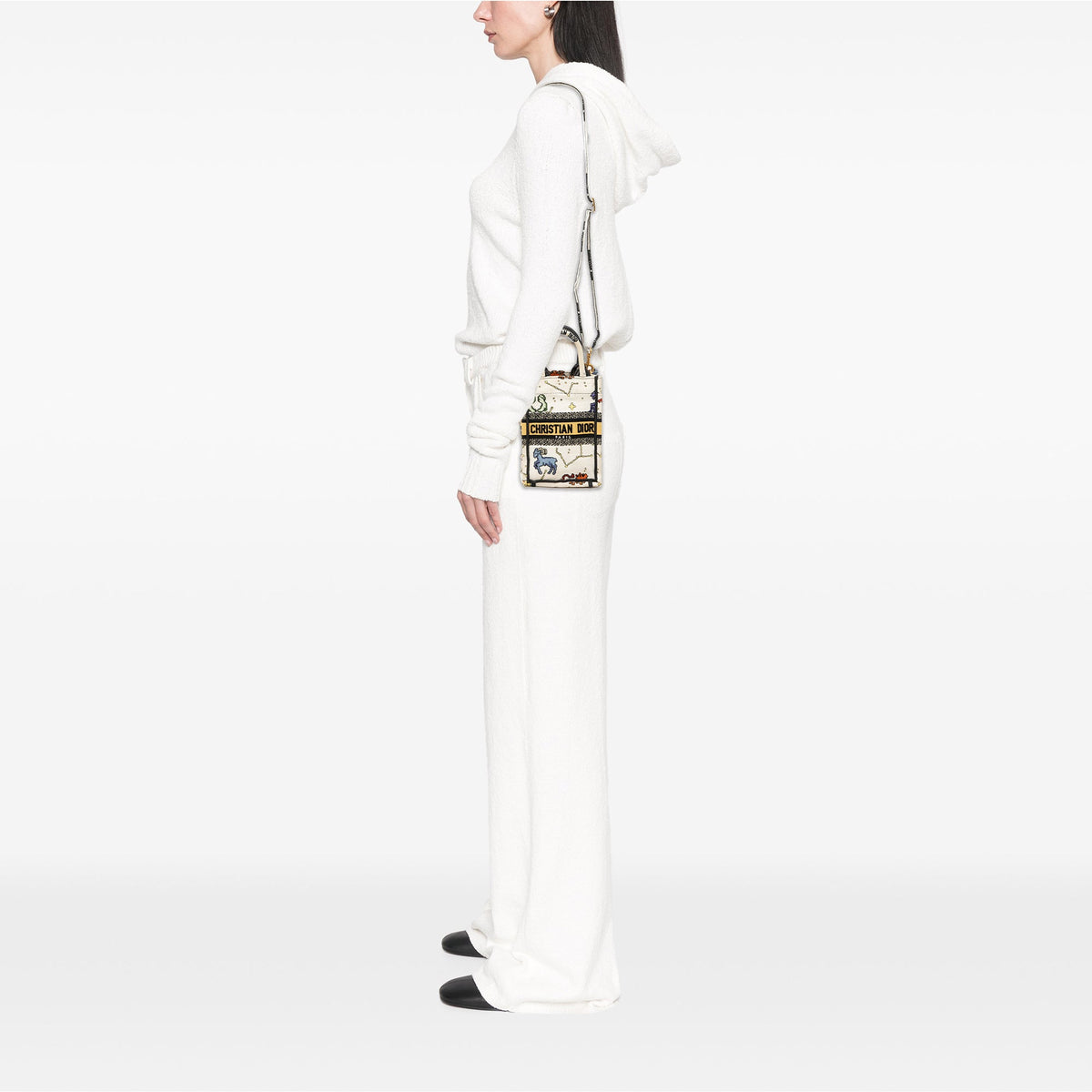 Dior Mini Embroidered Canvas Pixel Zodiac Vertical Book Tote