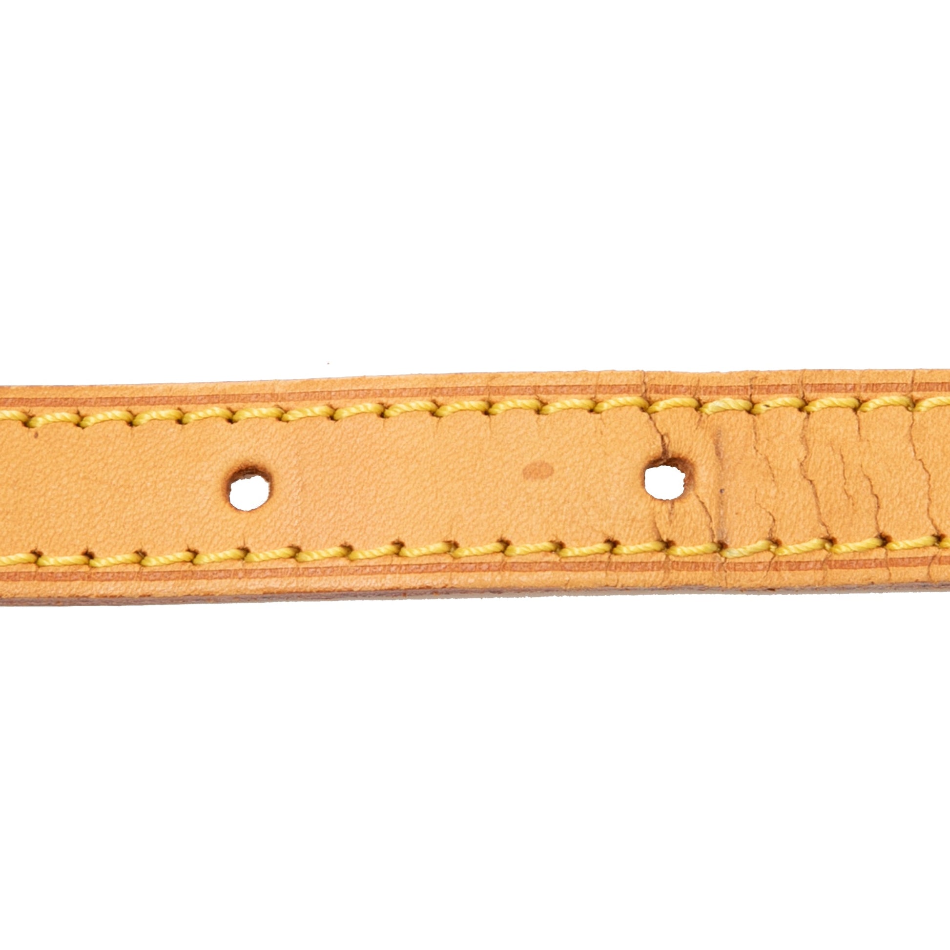 Louis Vuitton Monogram Trotteur