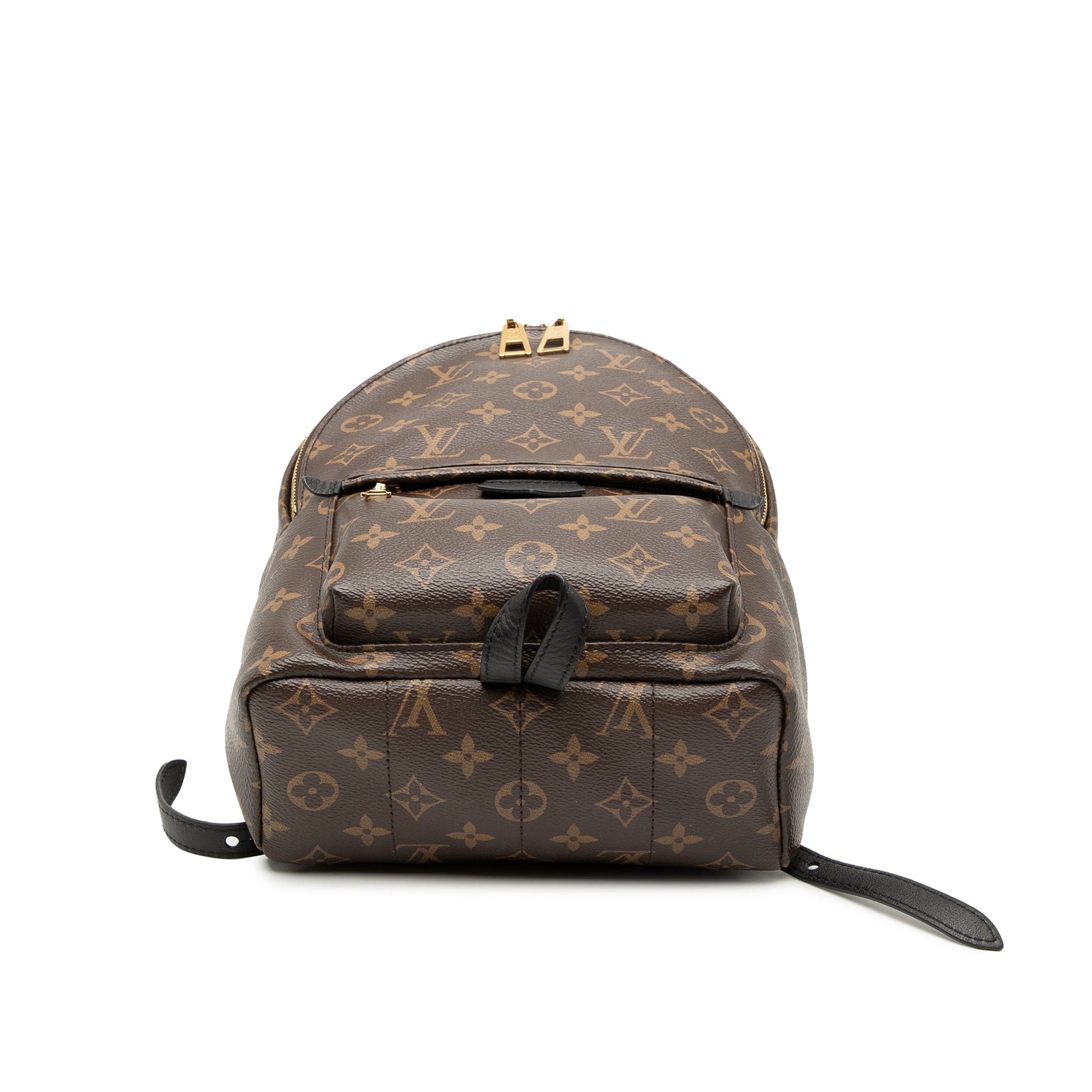 Louis Vuitton Monogram Palm Springs PM