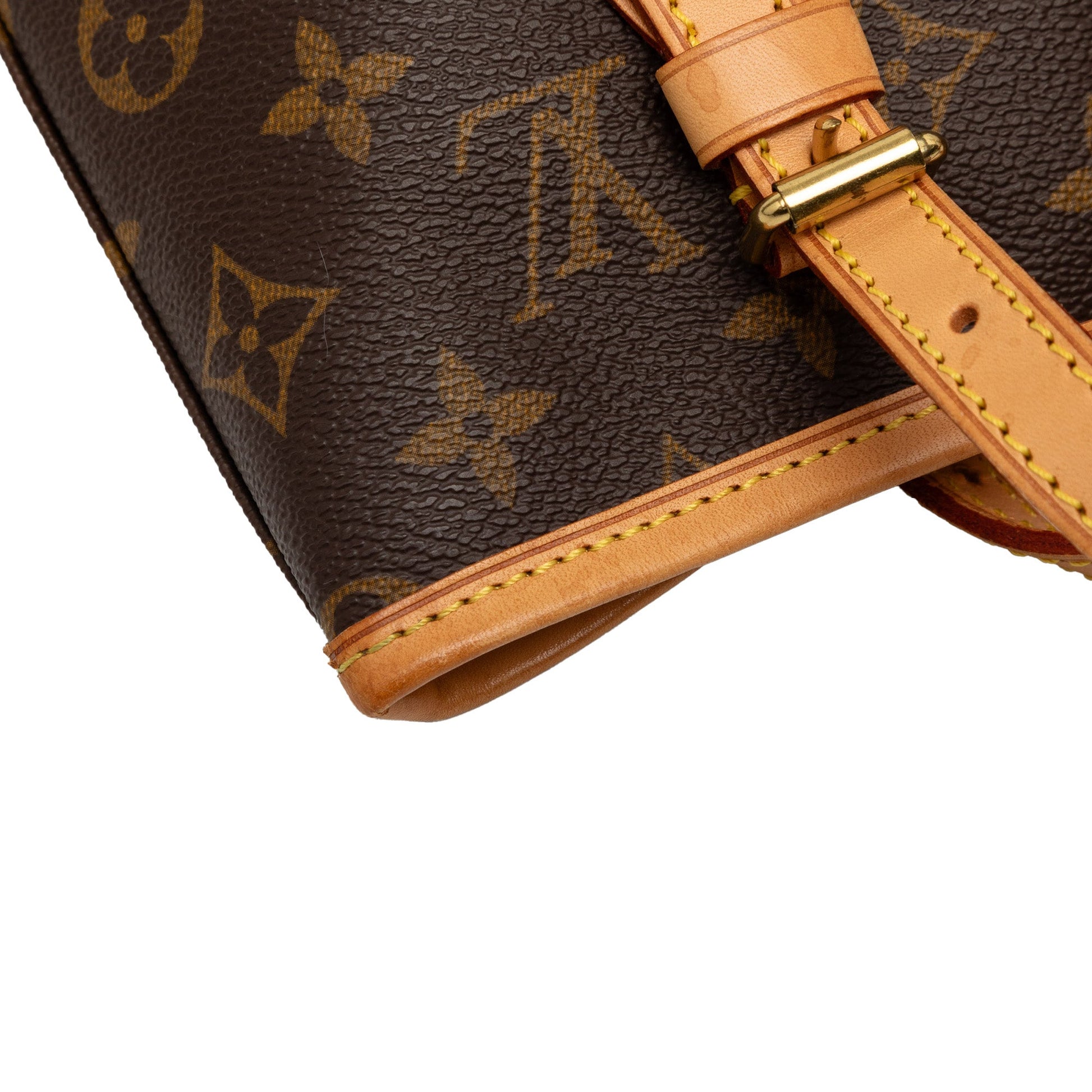 Louis Vuitton Monogram Petit Bucket