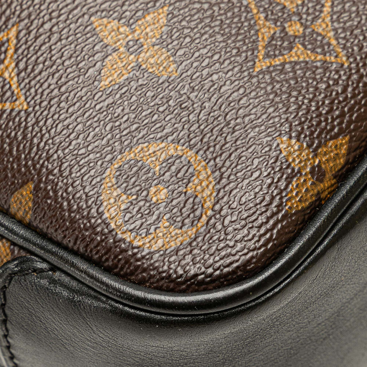 Louis Vuitton Monogram Macassar Bass PM