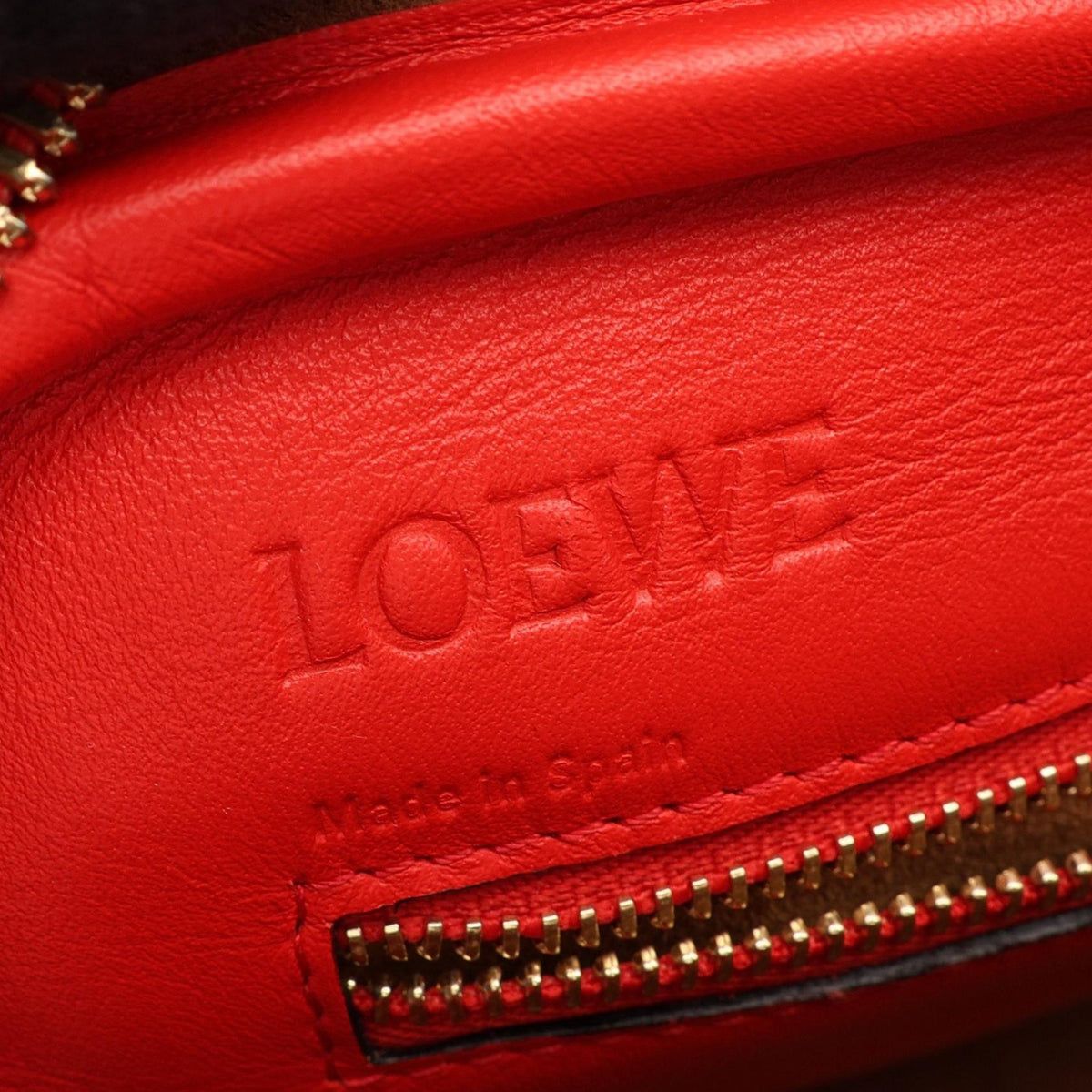 LOEWE Medium Leather Amazona 75 Satchel