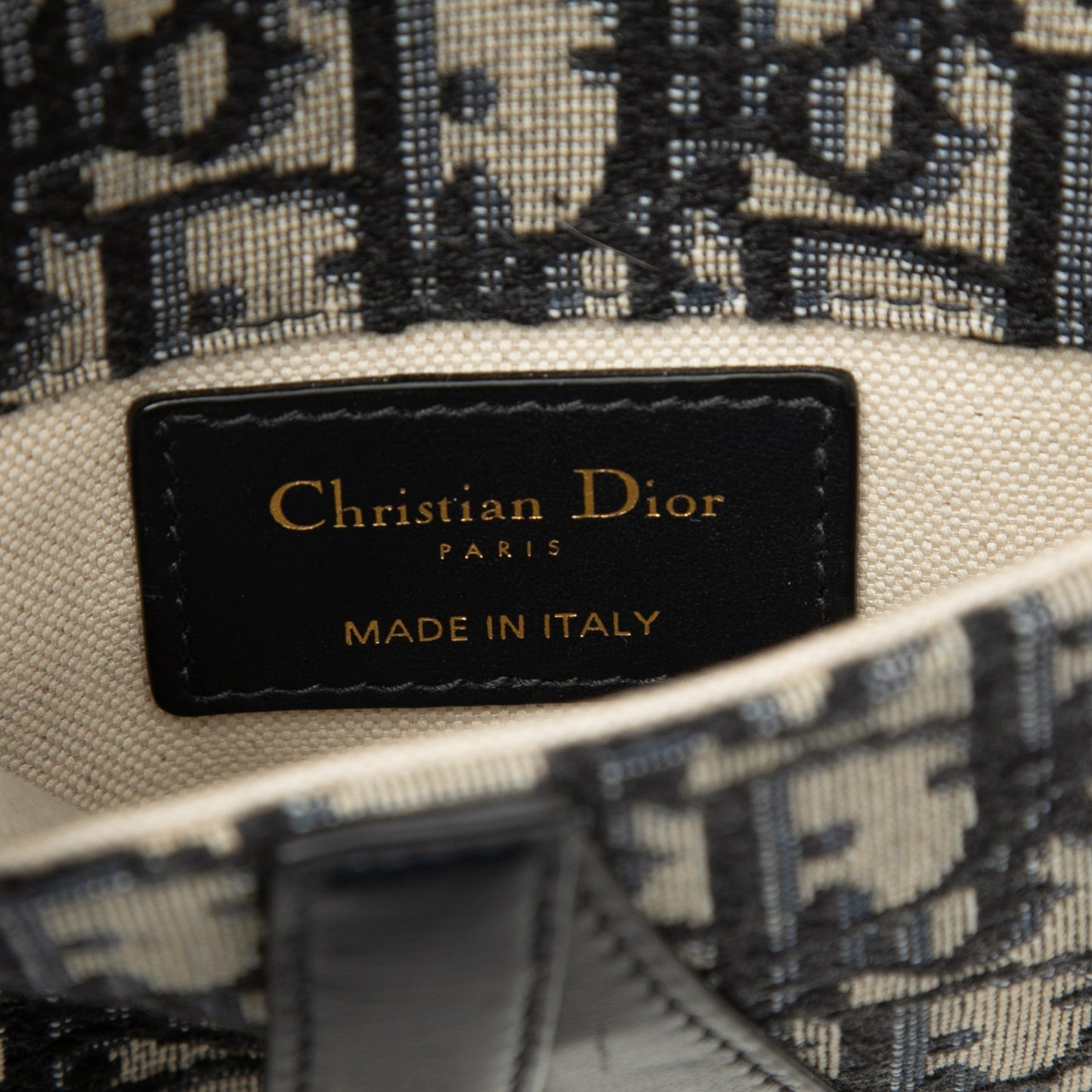 Dior Oblique Canvas Saddle Belt Bag