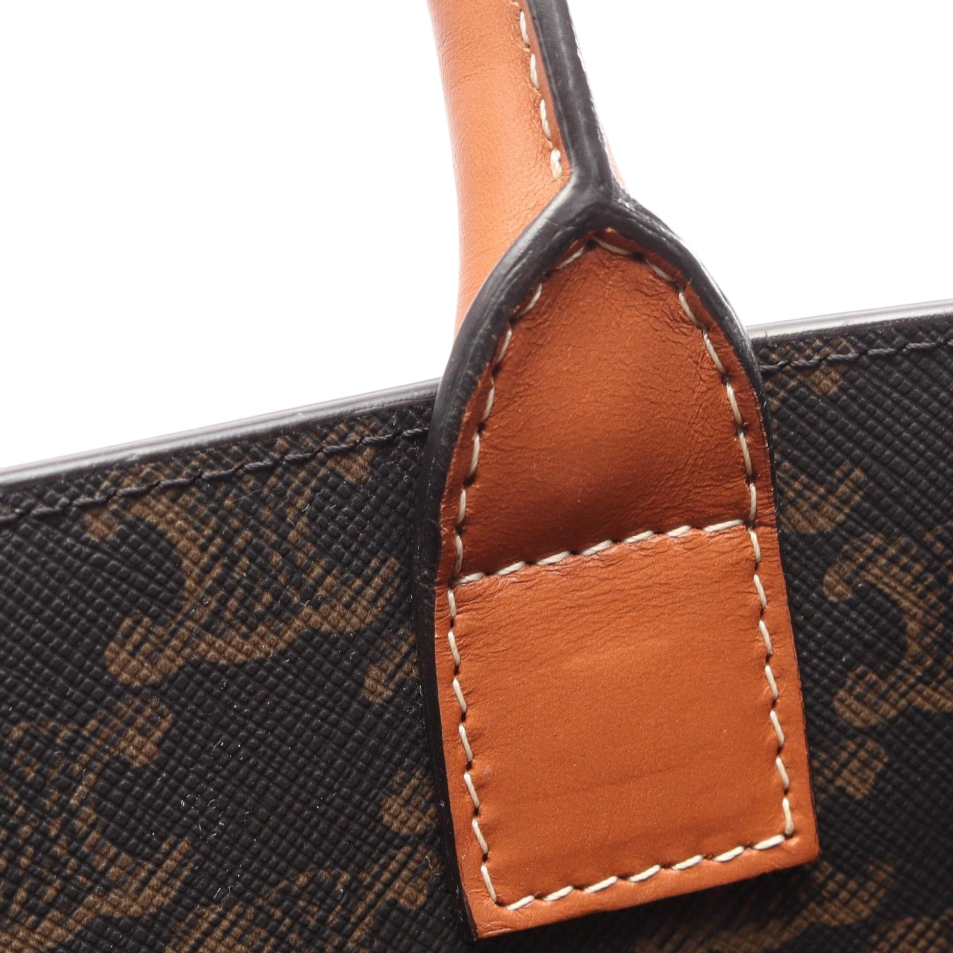 Celine Small Triomphe Coated Canvas Vertical Cabas Tote