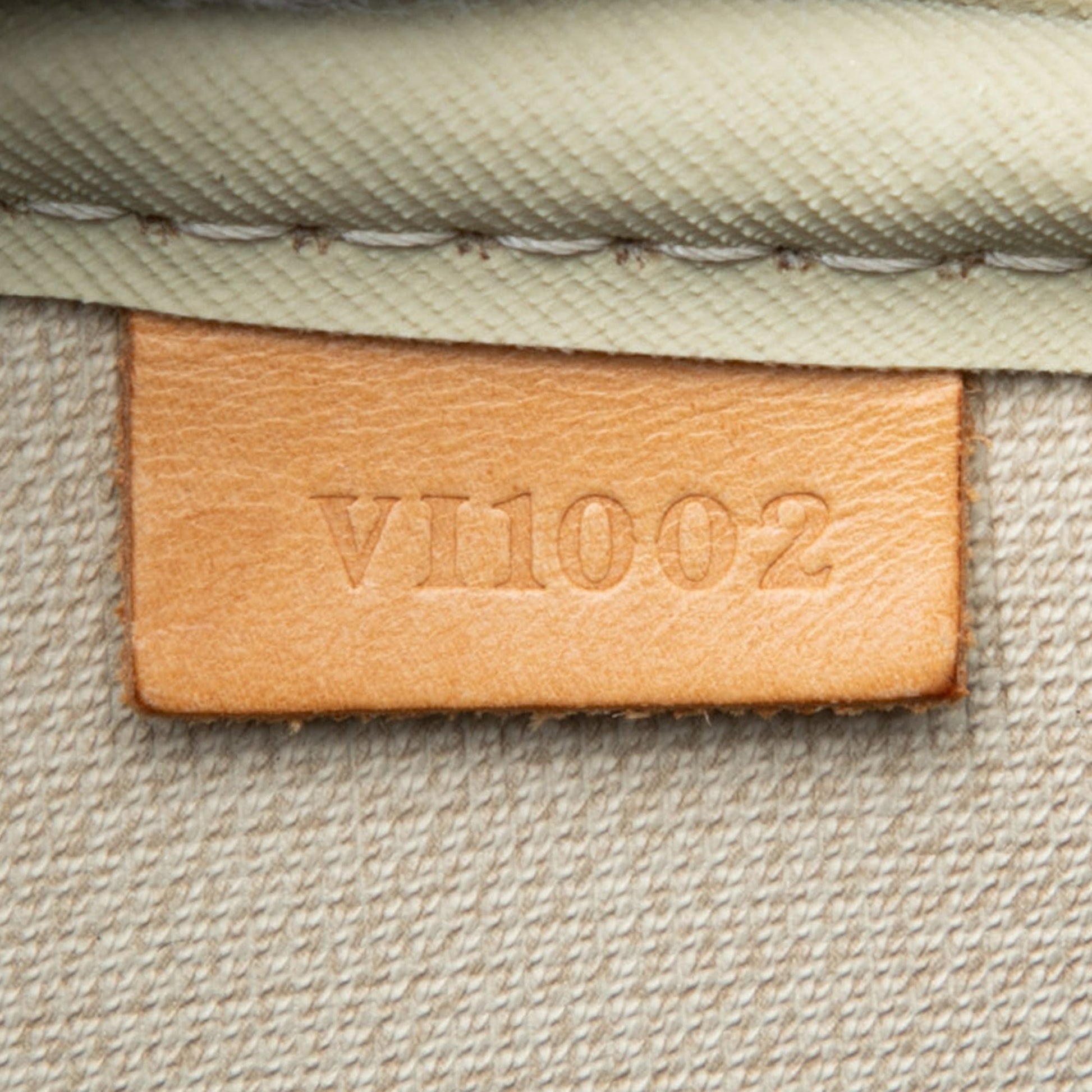 Louis Vuitton Monogram Evasion