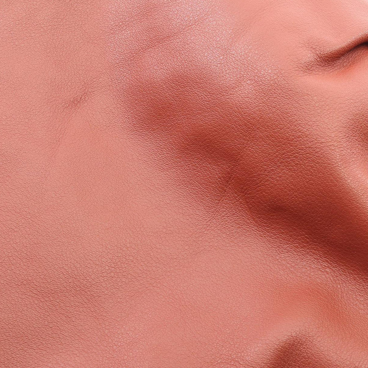 Bottega Veneta Nappa BV Twist Handbag