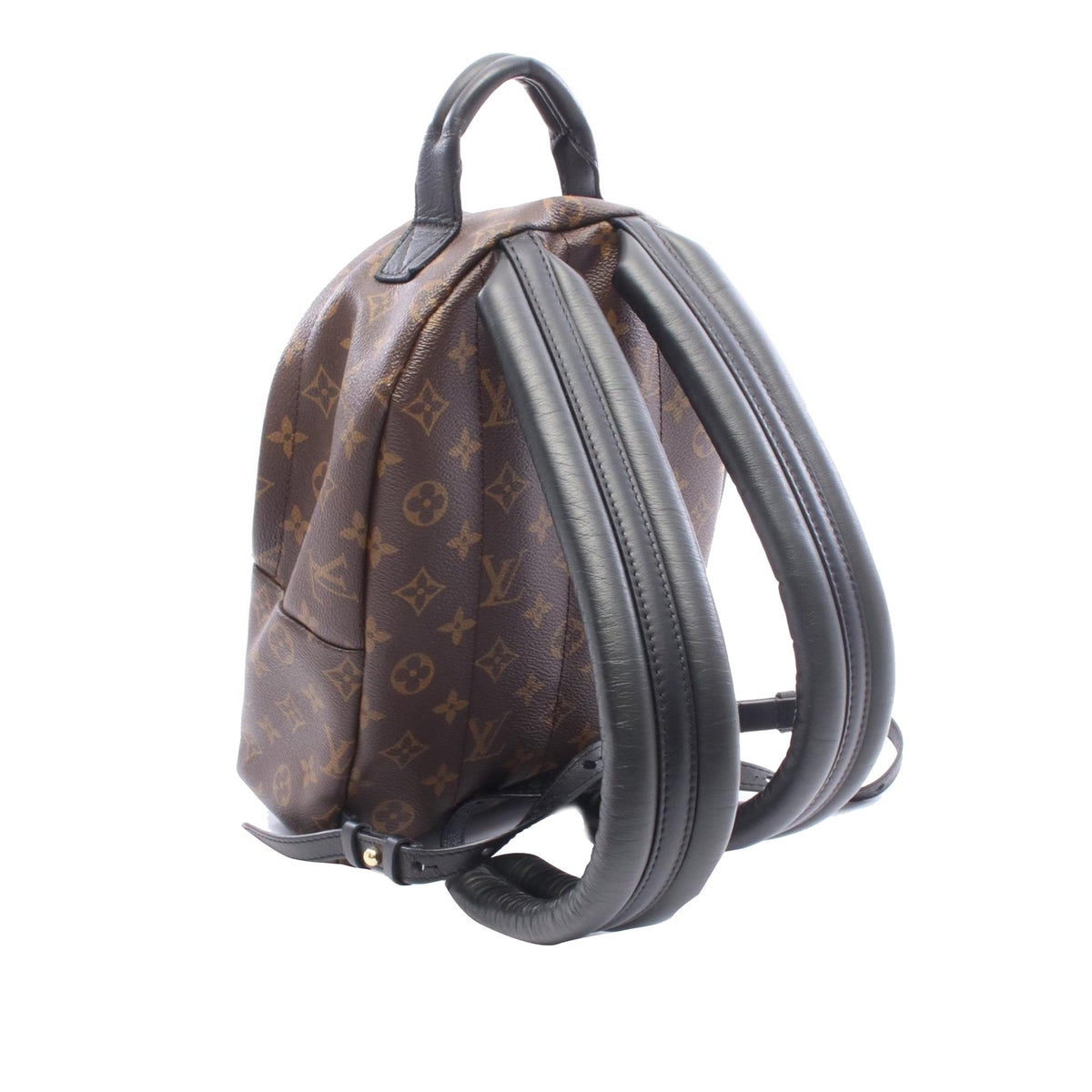 Louis Vuitton Monogram Palm Springs PM