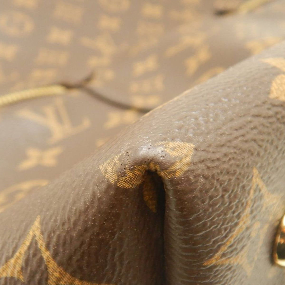 Louis Vuitton Monogram Melie Satchel