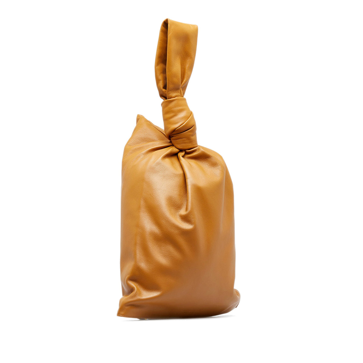 Bottega Veneta The Twist