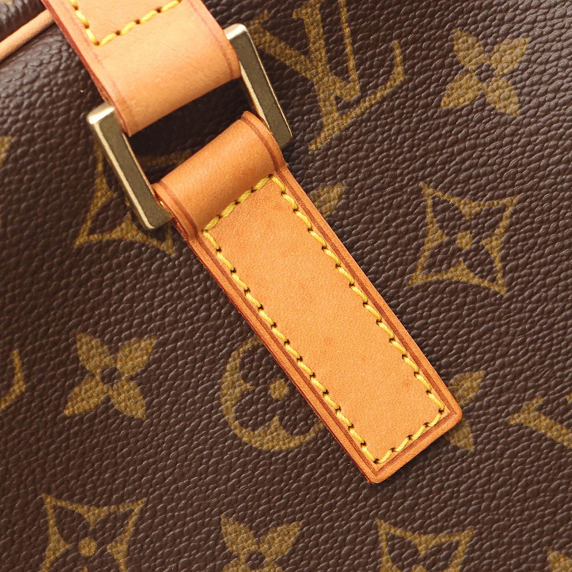 Louis Vuitton Monogram Cite GM