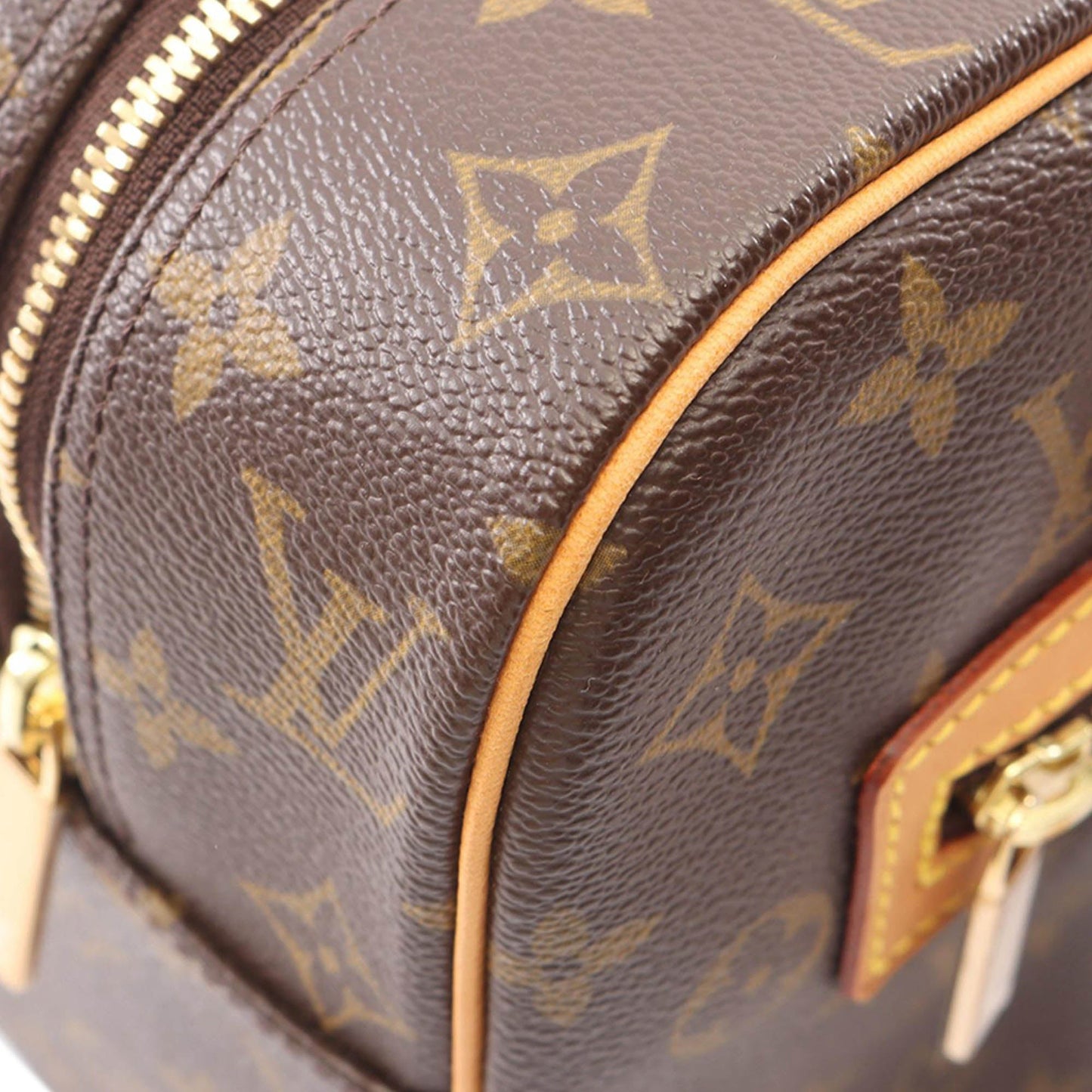 Louis Vuitton Monogram Cite GM