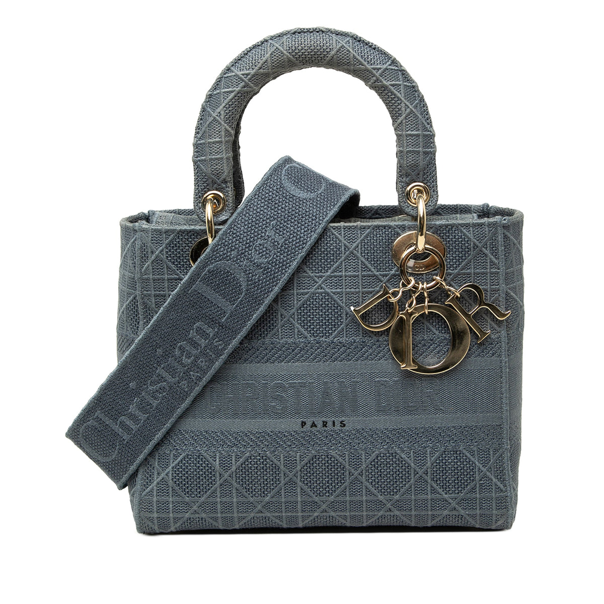 Dior Medium Embroidered Canvas Cannage Lady D Lite