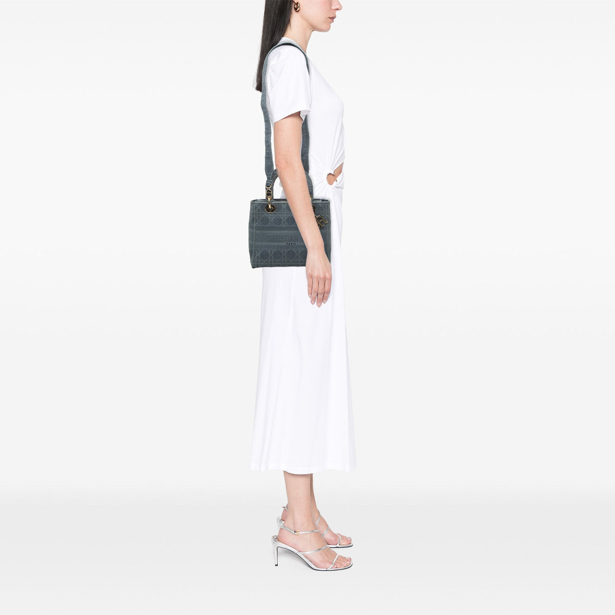 Dior Medium Embroidered Canvas Cannage Lady D Lite