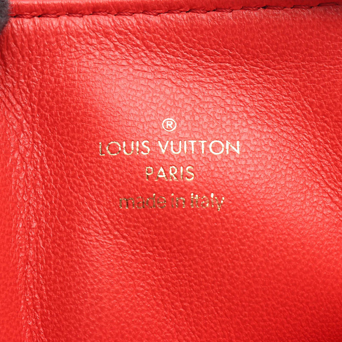 Louis Vuitton Lambskin Coussin PM