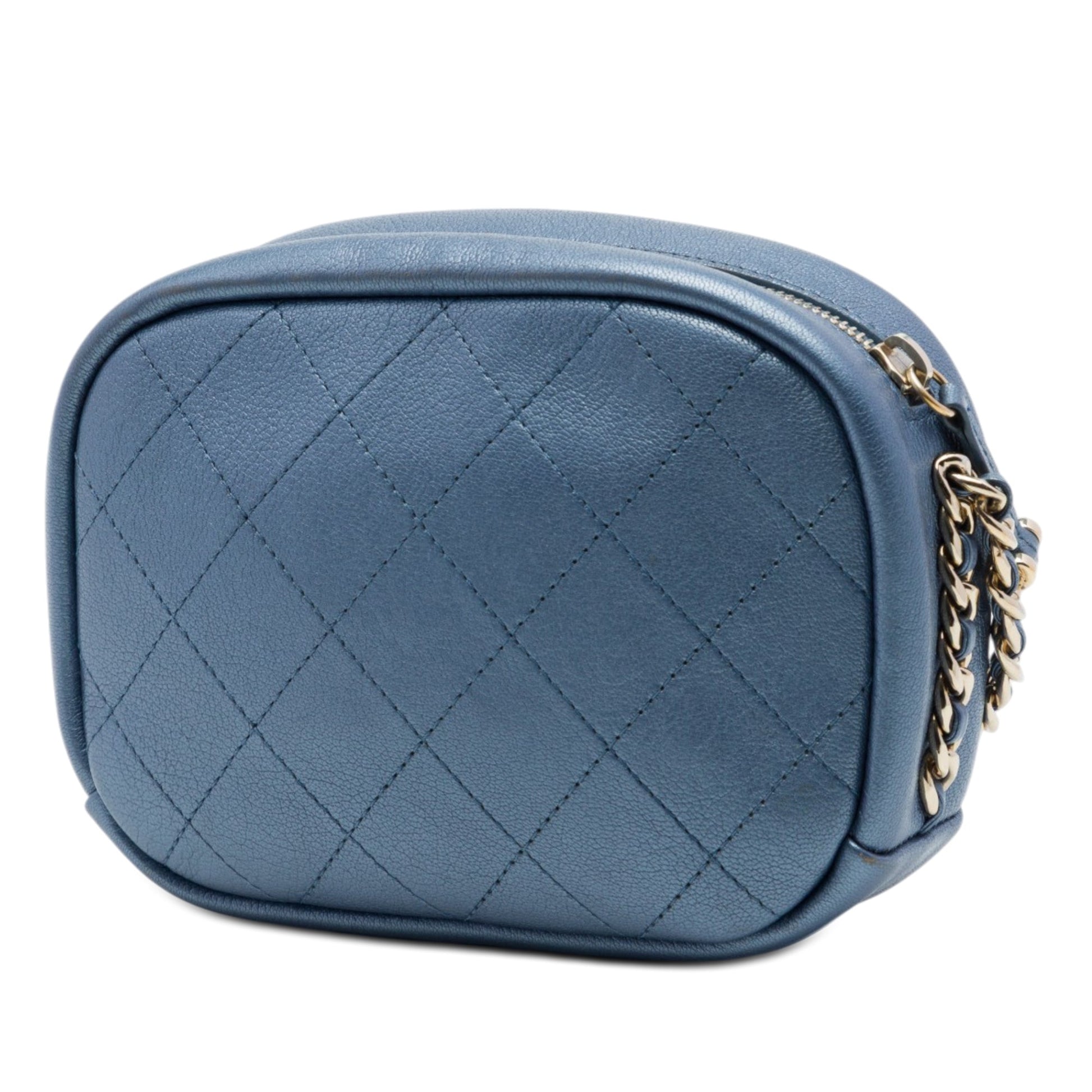 Chanel Small Quilted Metallic Goatskin Casual Trip Camera Bag