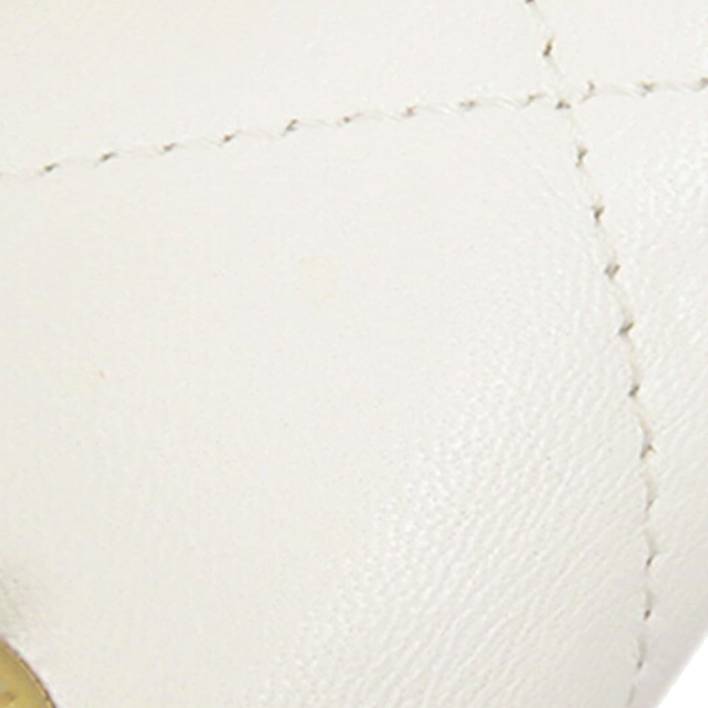 Chanel Medium Lambskin In The Loop Flap