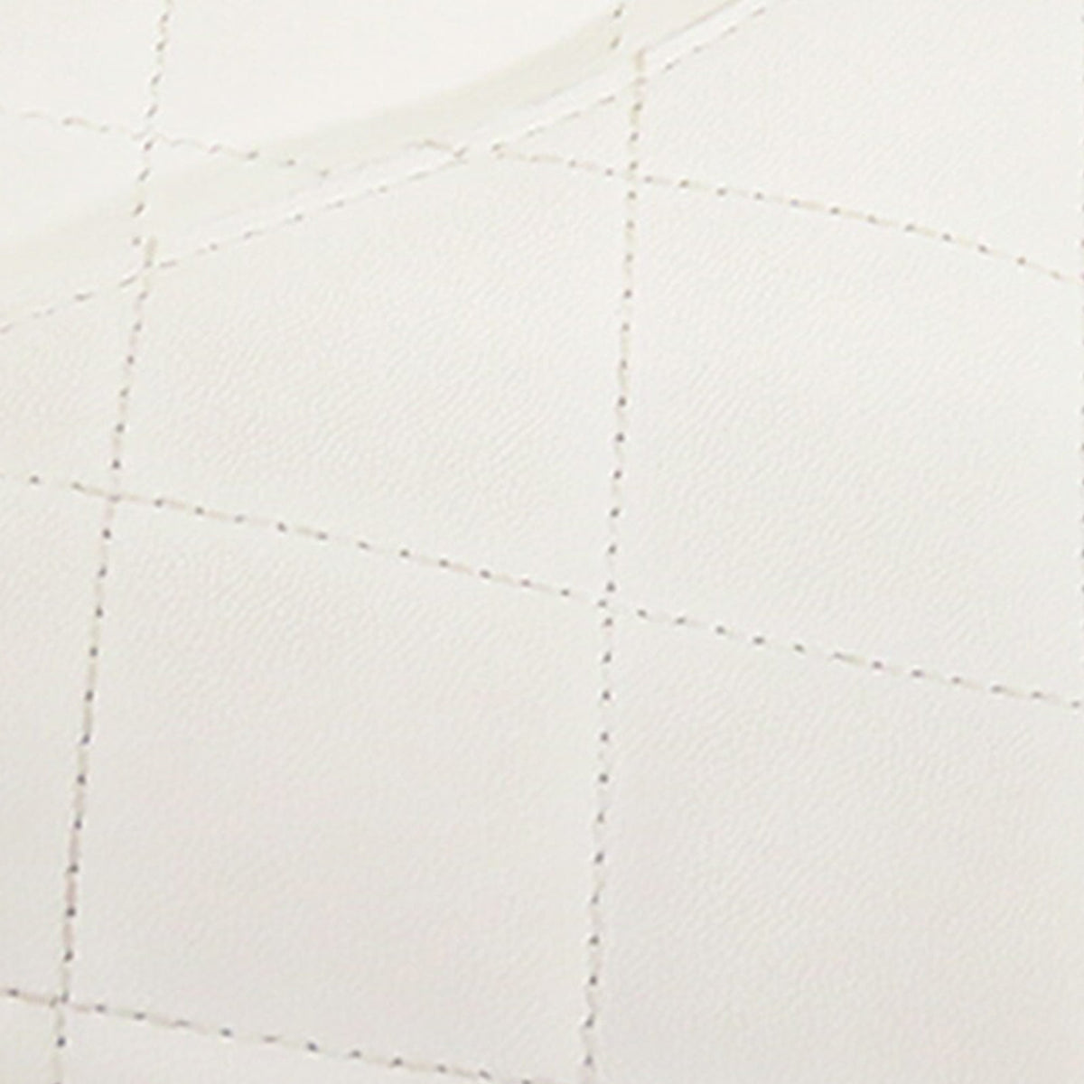Chanel Medium Lambskin In The Loop Flap