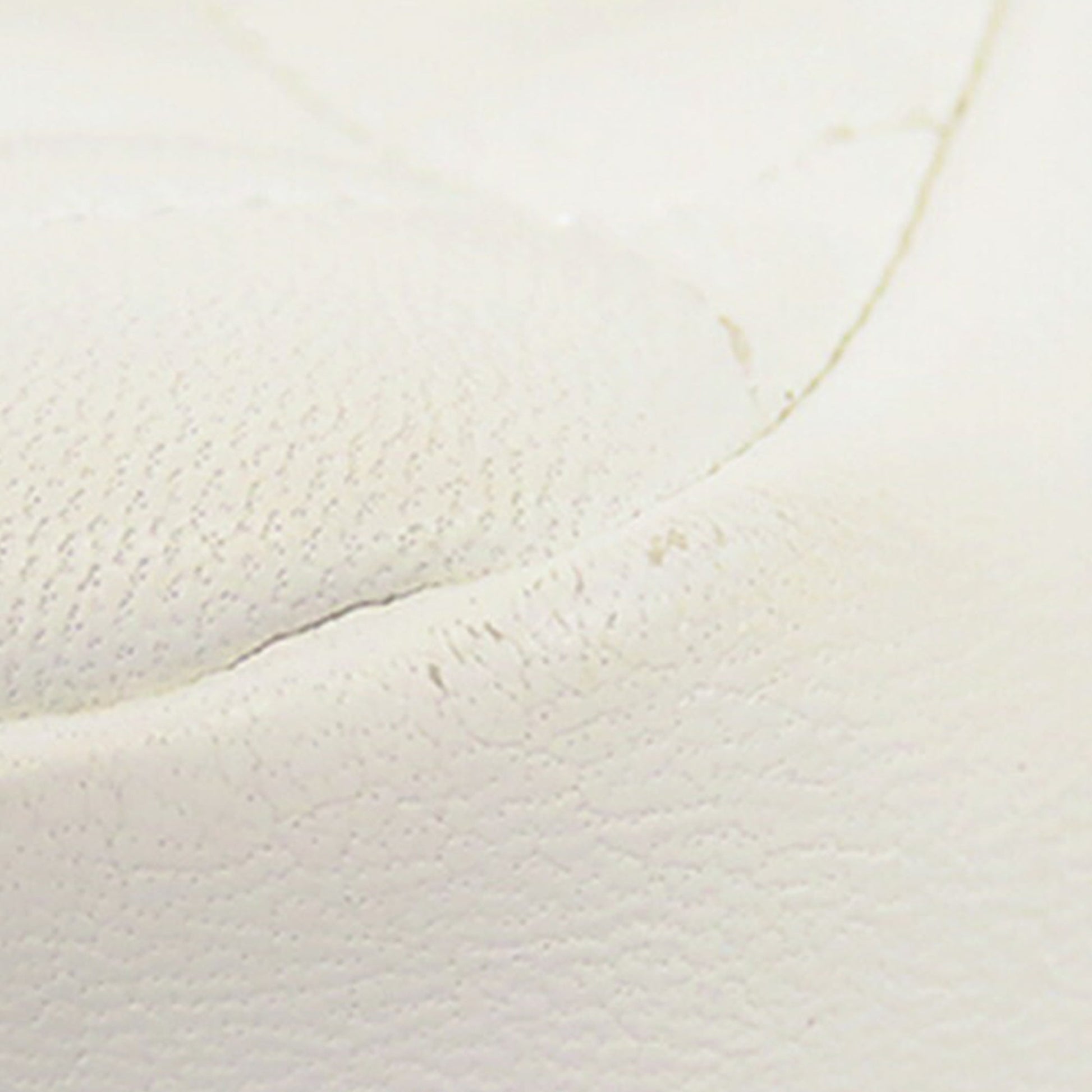 Chanel Medium Lambskin In The Loop Flap